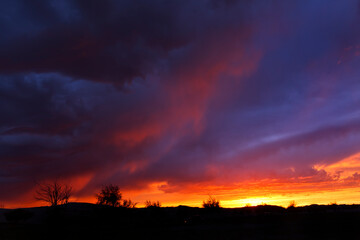 The Eastern Mongolian Steppes are home to the largest remaining intact temperate grasslands of the Earth.