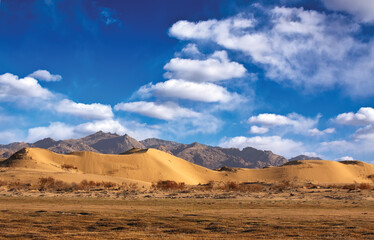 Naklejka na ściany i meble The Gobi Desert is a large desert or brushland region in East Asia.