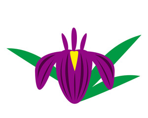 Naklejka premium 花菖蒲のベクターイラスト 端午の節句 こどもの日