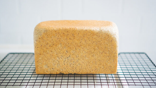 Freshly baked loaf of bread placed on a rack with white background