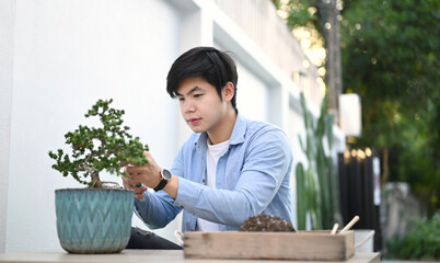 Shot of a young man in casual clothes is trimming bonsai on wooden table at home.Hobby lifestyle concept.