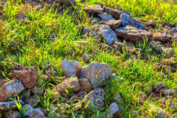 Pile of Stones in the Green Grass