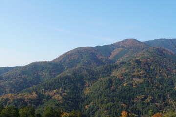 秋の愛宕山