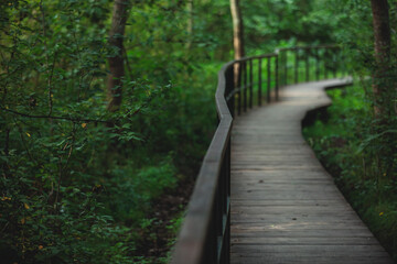 Aerial summer view of West Kotlin state nature reserve, ecological path trail with bird watching tower, Kotlin island, Kronstadt, Saint-Peterburg, Russia
