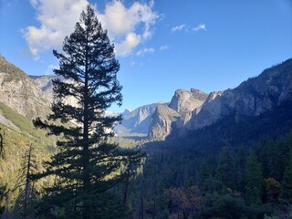 Yosemite Landscape