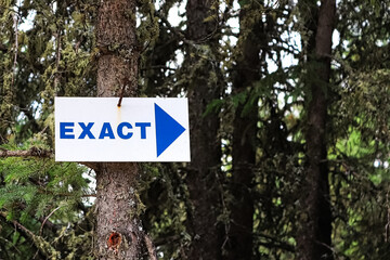 A blue Exact sign with a arrow pointing right