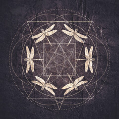 Dragonfly sign for branding identity. Silhouettes of insect in circle