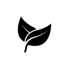 leaf icon vector symbol template