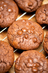 Classic chocolate chip cookies freshly baked, food background.