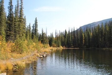 Shoreline Of The Pond, Nordegg, Alberta