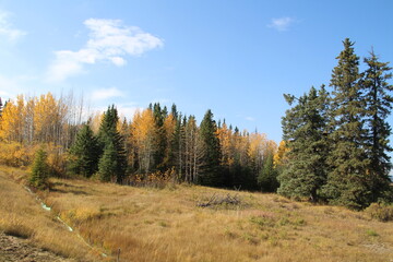 Fototapeta na wymiar Hill Of Autumn, Nordegg, Alberta