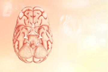 Medical 3D illustration - human brain, neurosurgery analyzing concept - detailed electronic texture