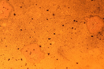 Obraz premium The glass is illuminated by the sun at sunset