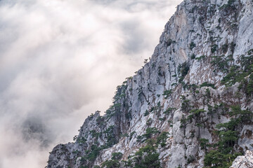 High stone rock in the dense fog. Heavy fog in the mountains on a cloudy day.