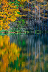 長野県茅野市　御射鹿池の紅葉