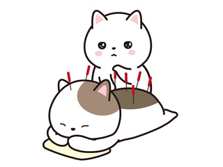 ペットの鍼治療　猫