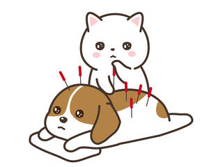 ペットの鍼治療　猫と犬