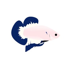 Blue rim betta fish. great for logos