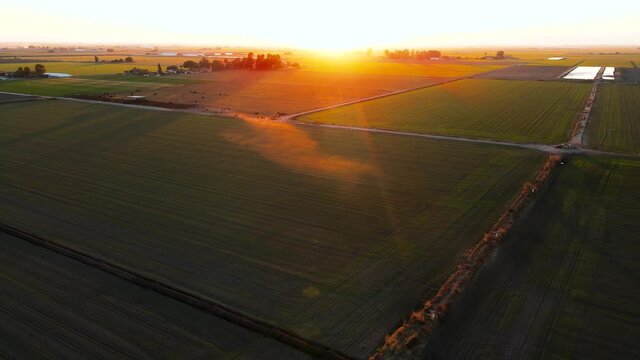 Farmland Agriculture aerial views of Dairy and Farmland in California Plants 