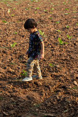 Indian cute baby boy walking in farm