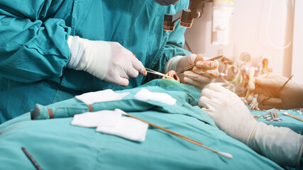 Doctor and assistant to perform nose surgery