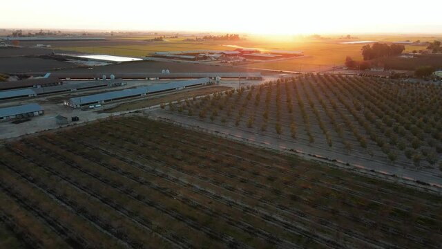 Farmland Agriculture aerial views of Dairy and Farmland in California Plants 