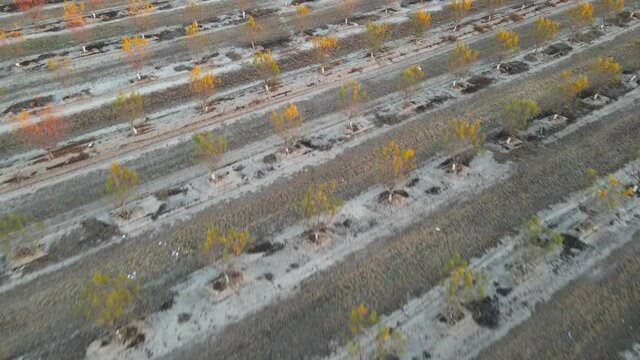 Farmland Agriculture aerial views of Dairy and Farmland in California Plants 