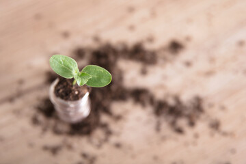 A stack of dollar coins and seedlings growing from them