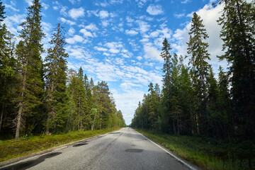 Fototapeta premium Beautiful landscape with blue sky, white clouds and the road that goes to the horizon with the forest and trees on the roadsides