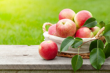 Ripe garden apple fruits in basket