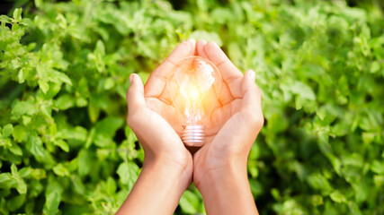 Hand holding light bulb,natural energy and love the world concept.
