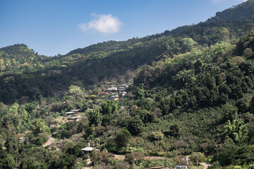 Village in the forest in mountain at Doi Chang, Chiang Rai, Thailand.