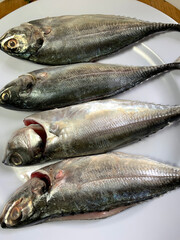 fresh fish on the plate ready to be cooked known in Malay as’Ikan cencaru’
