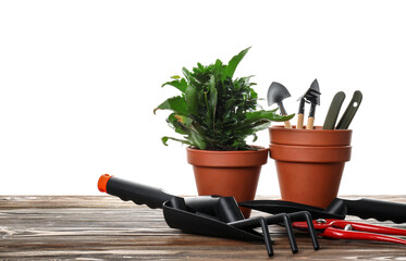 Gardening tools and pot flower on white background