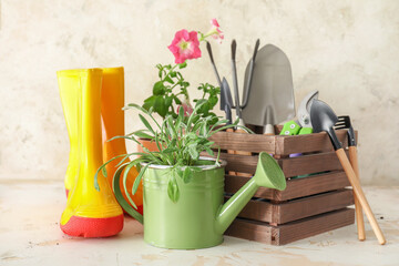 Gardening tools with gumboots and plants on light background