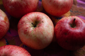 Ripe red rural apples on the table close up