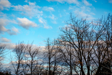 Obraz na płótnie Canvas Blue sky with the clouds 