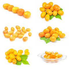 Set of cumquats over a white background