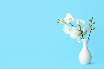 Vase with beautiful orchid flowers on color background