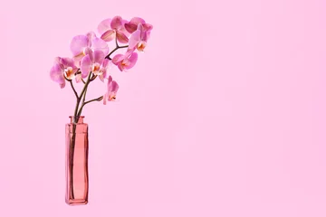 Fotobehang Vase with beautiful orchid flowers on color background © Pixel-Shot