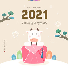 New Year illustration / New Year's Day greeting /  Korean Translation : "Happy New Year"
