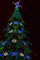 Decorated Christmas tree with multi-colored lights at night