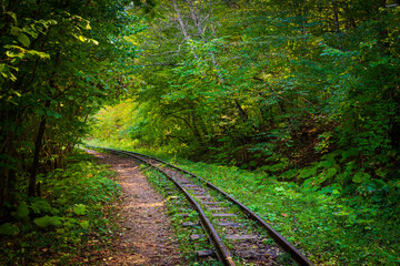 Abandoned railway in autumn mountain forest with foliar trees in Caucasus, Mezmay