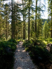 Fototapeta premium Asiago's landscape - Italy 2020