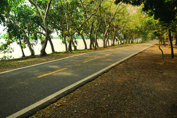 road in the park