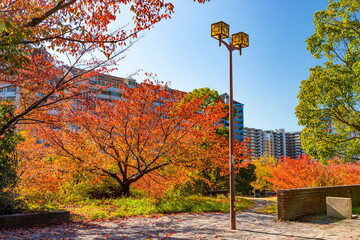 六甲アイランドの秋　神戸市東灘区にて