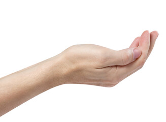 Outstretched hand gesture, holding, asking or offering something, isolated on white background