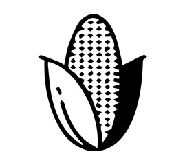 Silhouette of corn on white background