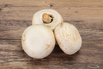 Raw Champignon heap for cooking