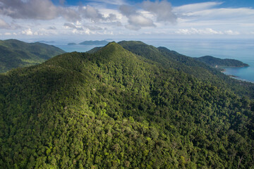 Aerial view of dense rainforest on a tropical island in Thailand
